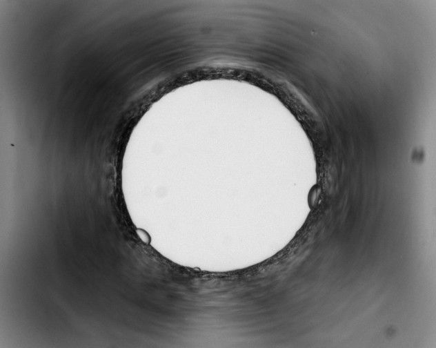 X0000103420821200810241032