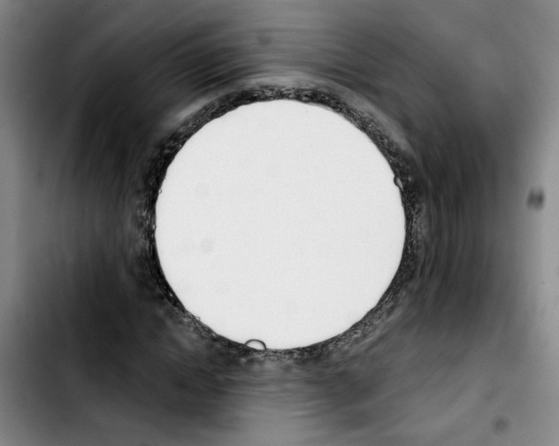 X0000103420822200810241032