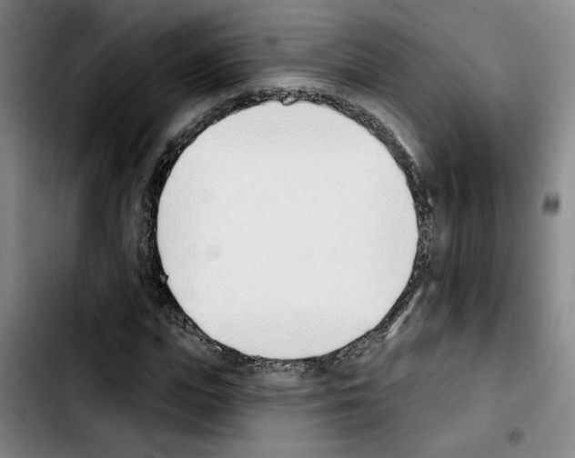 X0000103420823200810241032