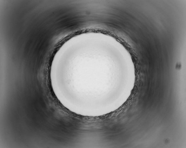 X0000103420824200810241032