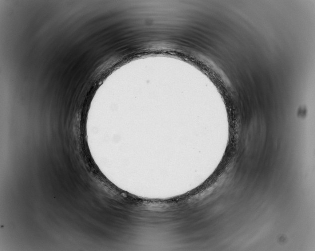 X0000103420825200810241032