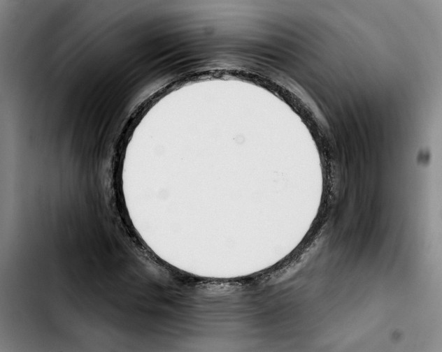 X0000103420826200810241032