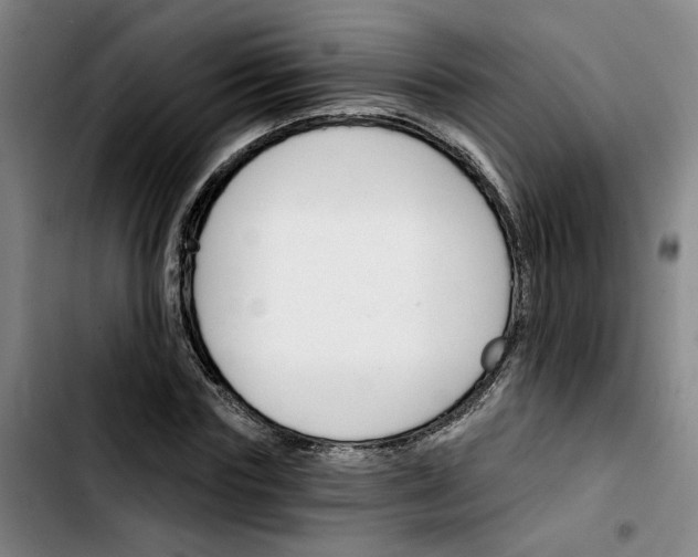 X0000103420827200810241032