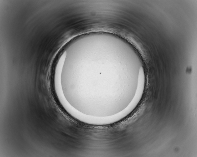 X0000103420828200810241032