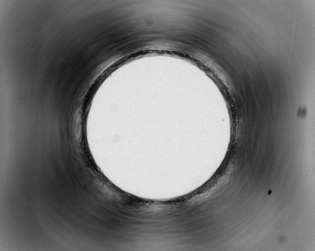 X0000103420829200810241032