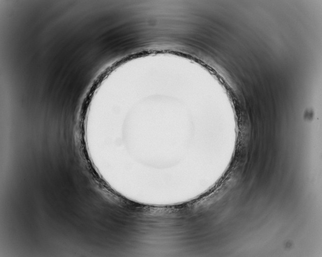X0000103420832200810241032
