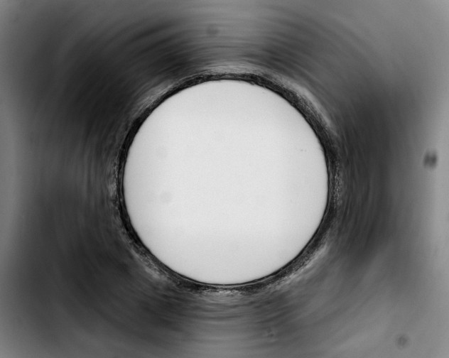 X0000103420833200810241032