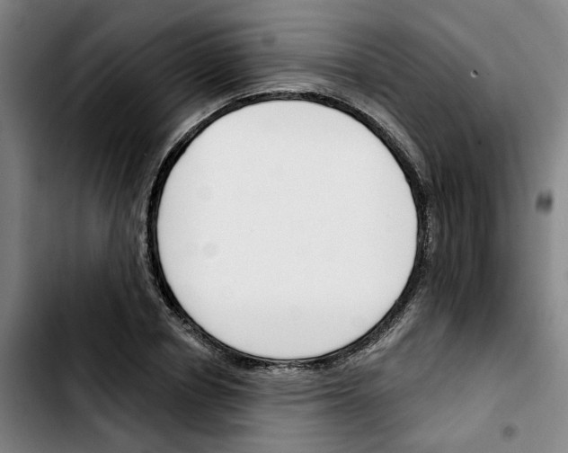 X0000103420834200810241032