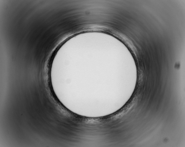 X0000103420835200810241032