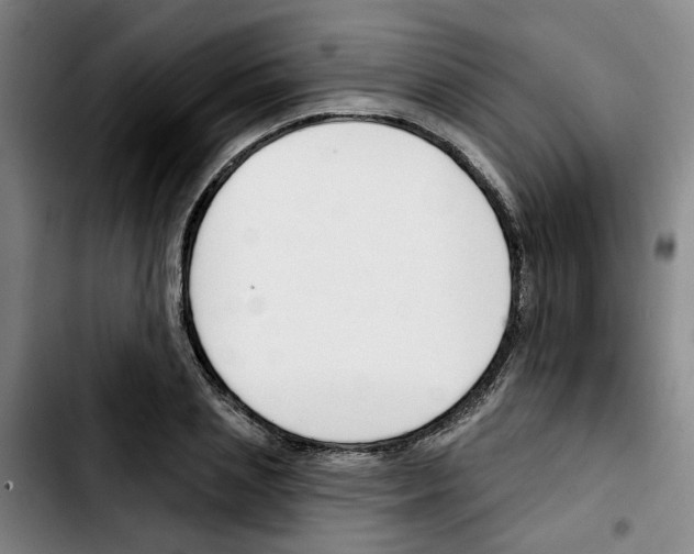 X0000103420837200810241032