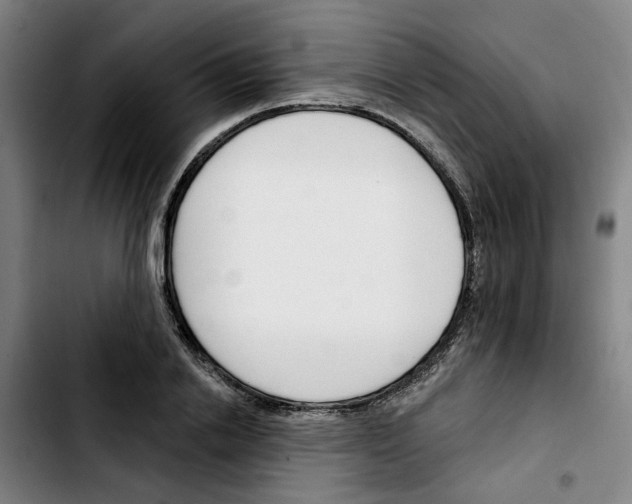 X0000103420838200810241032