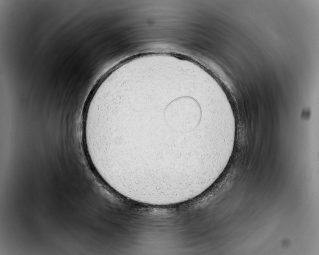 X0000103420839200810241032