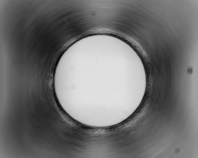 X0000103420841200810241032