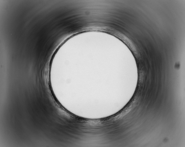 X0000103420844200810241032