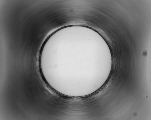 X0000103420846200810241032