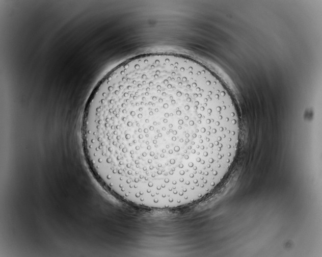 X0000103420847200810241032