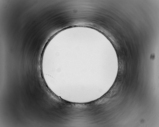 X0000103420848200810241032