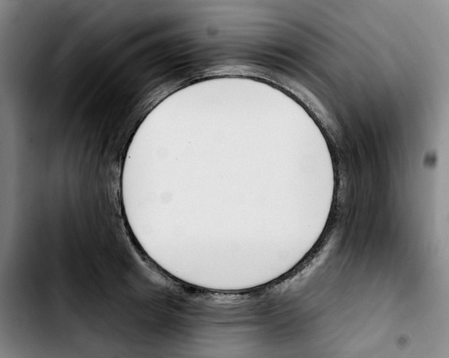 X0000103420849200810241032