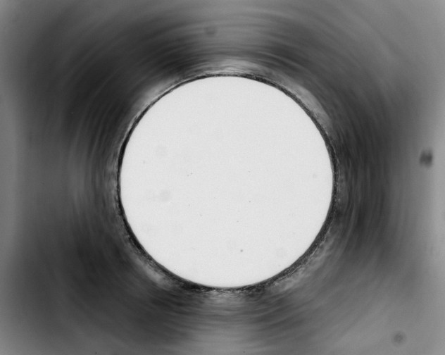X0000103420850200810241032