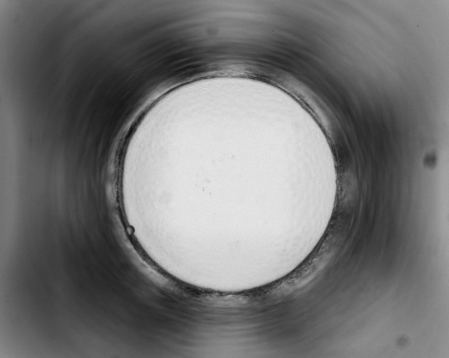X0000103420851200810241032