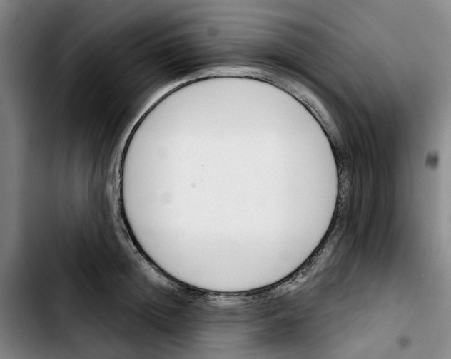 X0000103420852200810241032