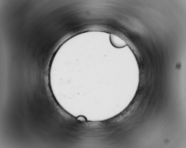 X0000103420853200810241032