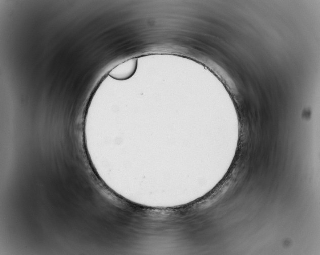 X0000103420854200810241032