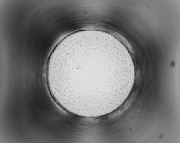 X0000103420855200810241032
