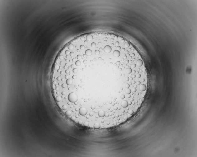 X0000103420856200810241032