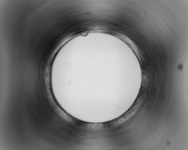 X0000103420859200810241032