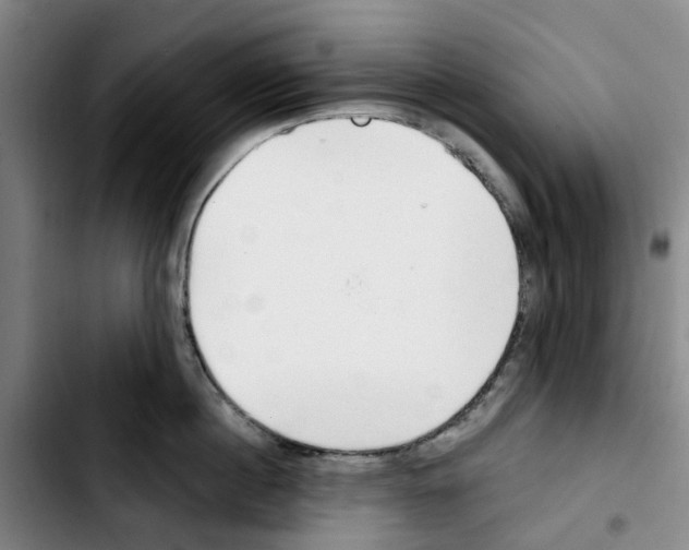 X0000103420860200810241032