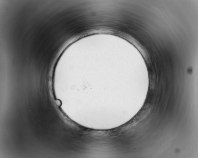 X0000103420861200810241032