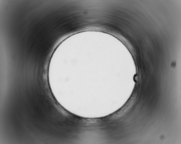 X0000103420862200810241032