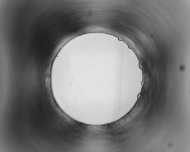 X0000103420863200810241032