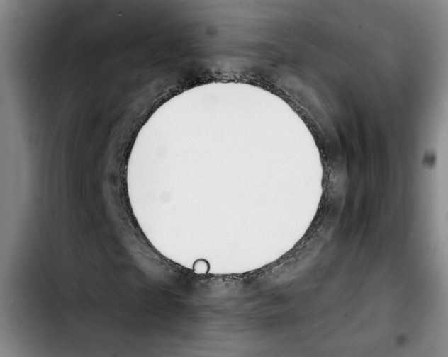 X0000103420865200810241032