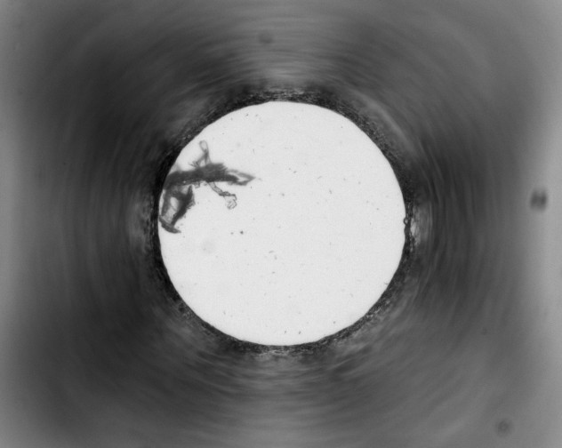X0000103420867200810241032