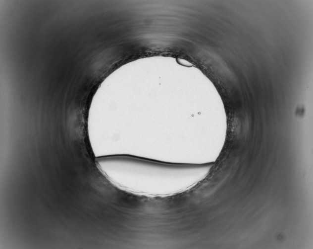 X0000103420868200810241032