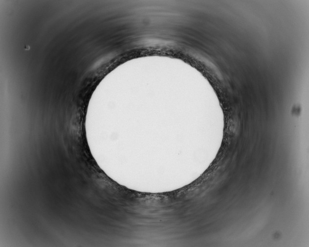 X0000103420869200810241032