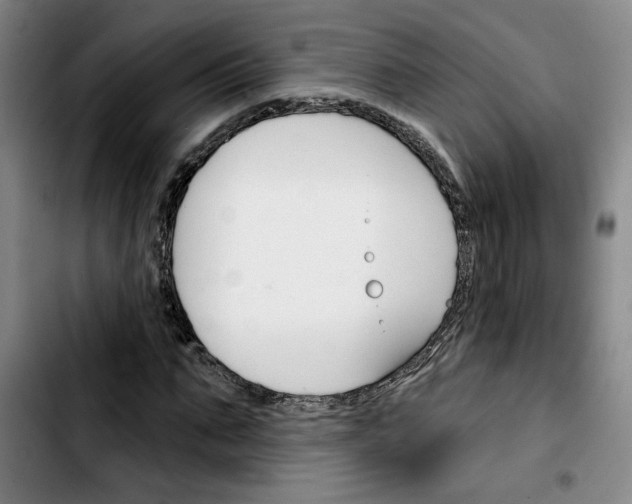 X0000103420871200810241032