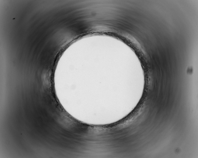 X0000103420873200810241032
