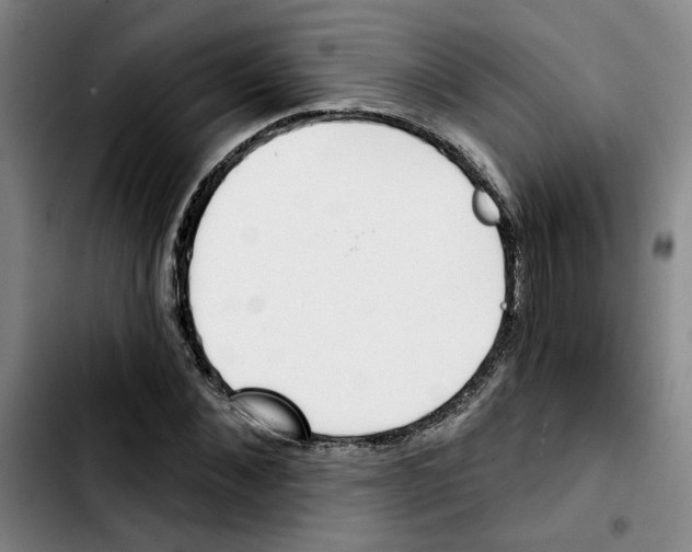 X0000103420876200810241032