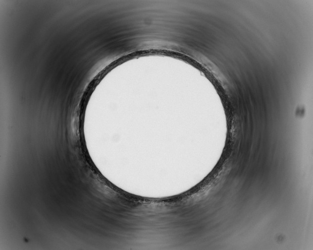 X0000103420877200810241032