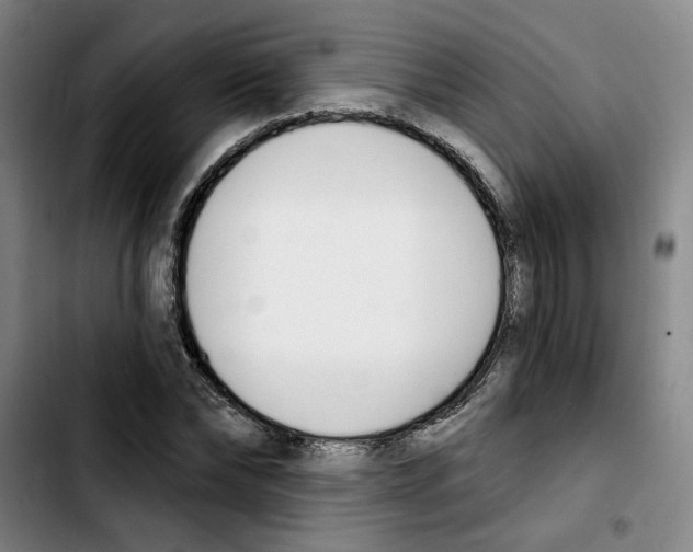 X0000103420878200810241032