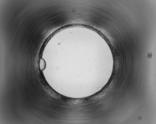 X0000103420879200810241032