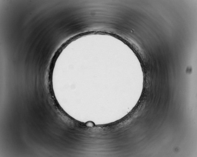 X0000103420880200810241032