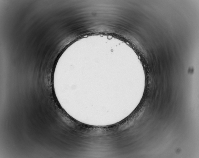 X0000103420881200810241032