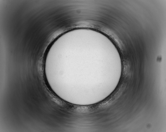 X0000103420882200810241032