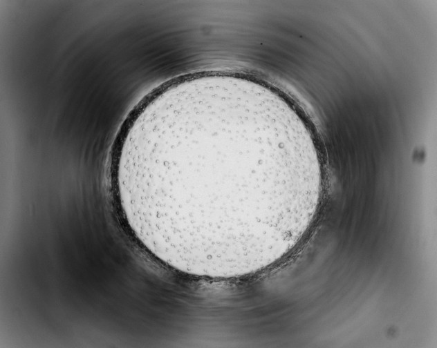 X0000103420883200810241032