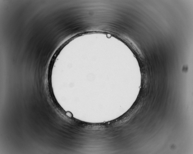 X0000103420884200810241032
