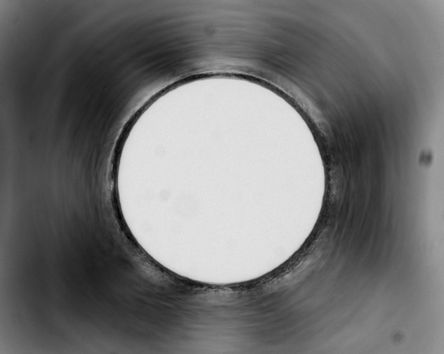 X0000103420885200810241032